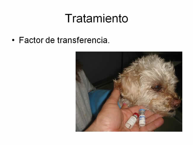 Factor de Transferencia Casos Clnicos (completos)