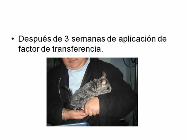 Factor de Transferencia Casos Clnicos (completos)