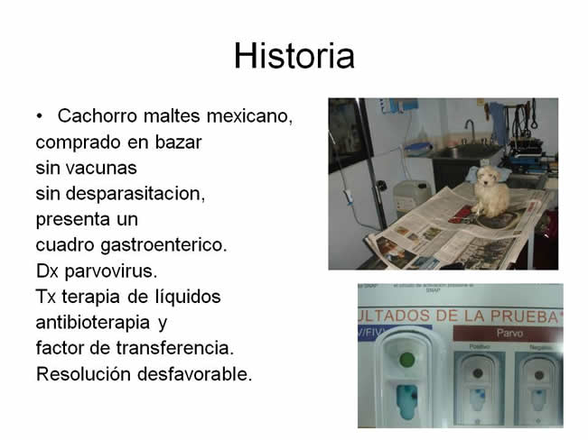 Factor de Transferencia Casos Clnicos (completos)