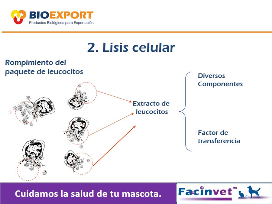 Antecedentes y uso del Factor de Transferencia de cocodrilo