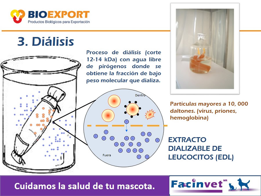 Antecedentes y uso del Factor de Transferencia de cocodrilo