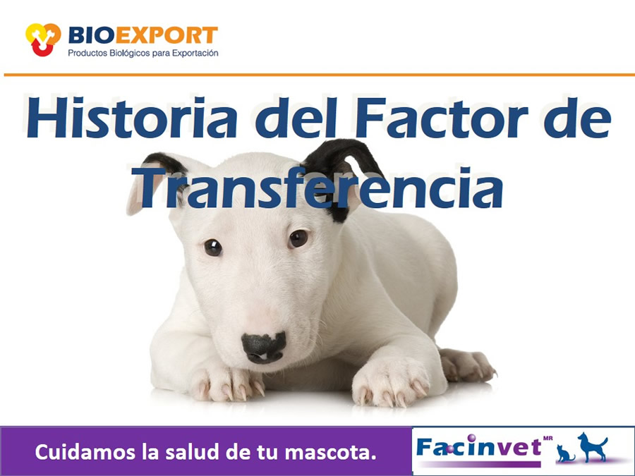 Antecedentes y uso del Factor de Transferencia de cocodrilo