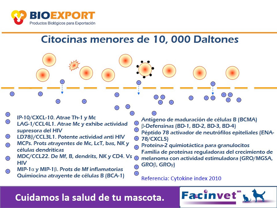 Antecedentes y uso del Factor de Transferencia de cocodrilo