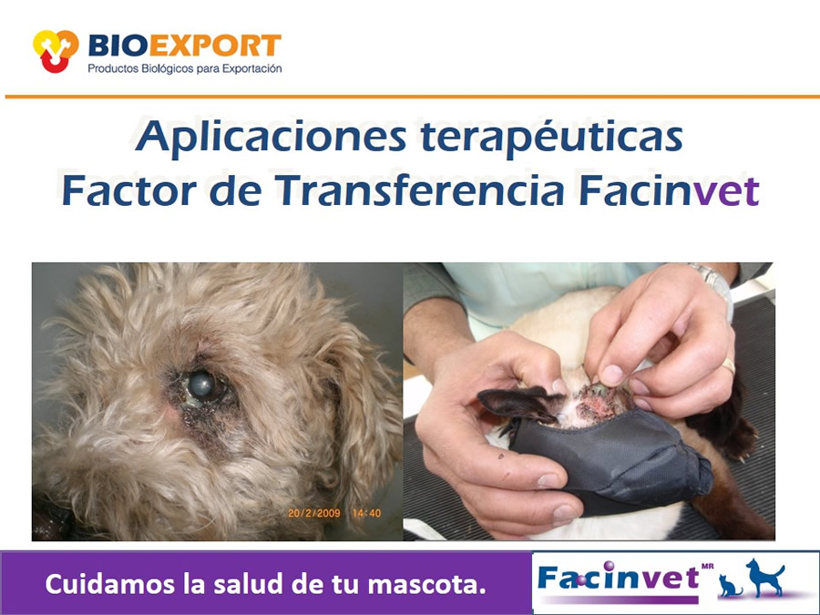 Antecedentes y uso del Factor de Transferencia de cocodrilo