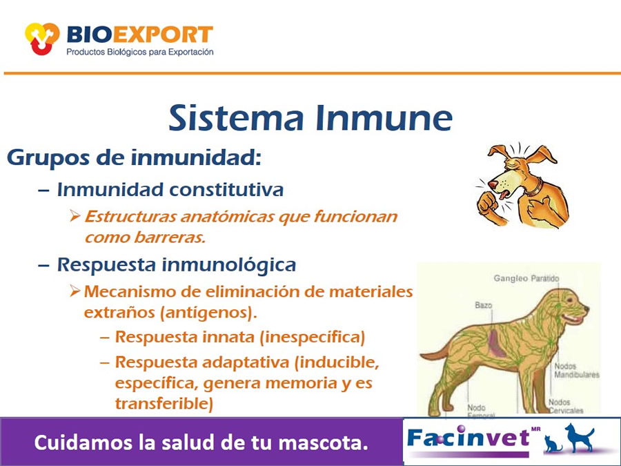 Antecedentes y uso del Factor de Transferencia de cocodrilo