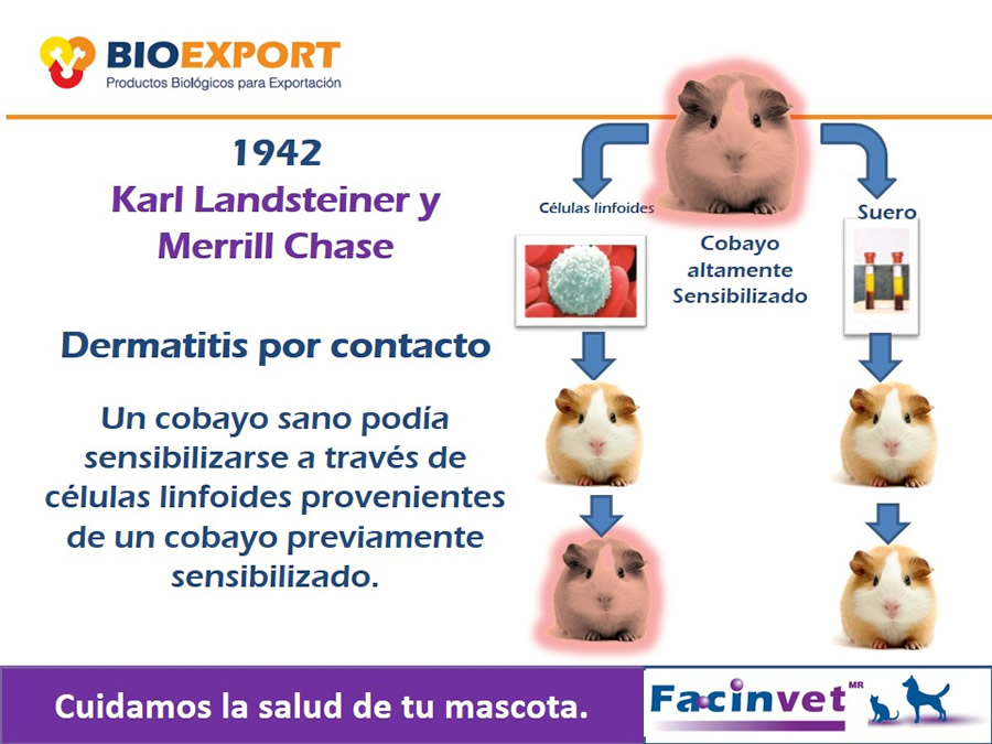 Antecedentes y uso del Factor de Transferencia de cocodrilo