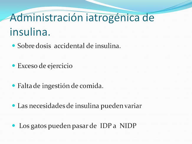 Hipoglucemia