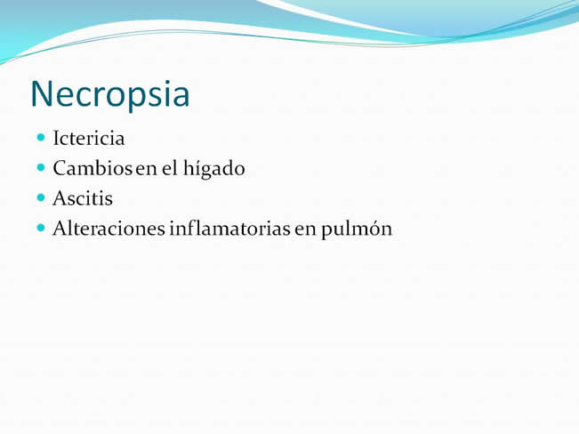 Hipoglucemia