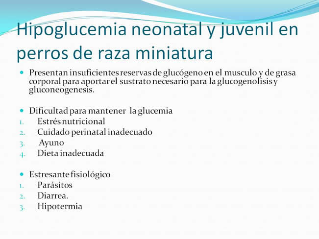 Hipoglucemia