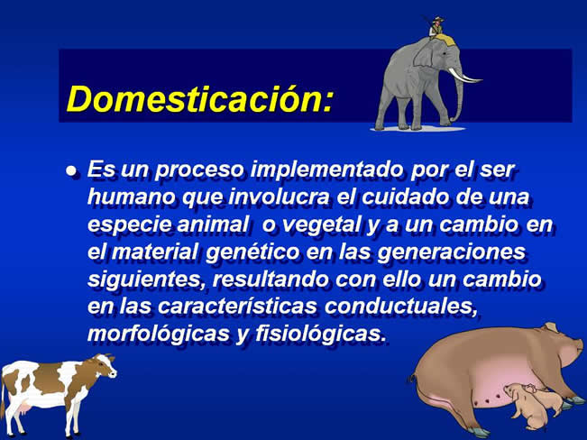 Interaccin Humano-Animal