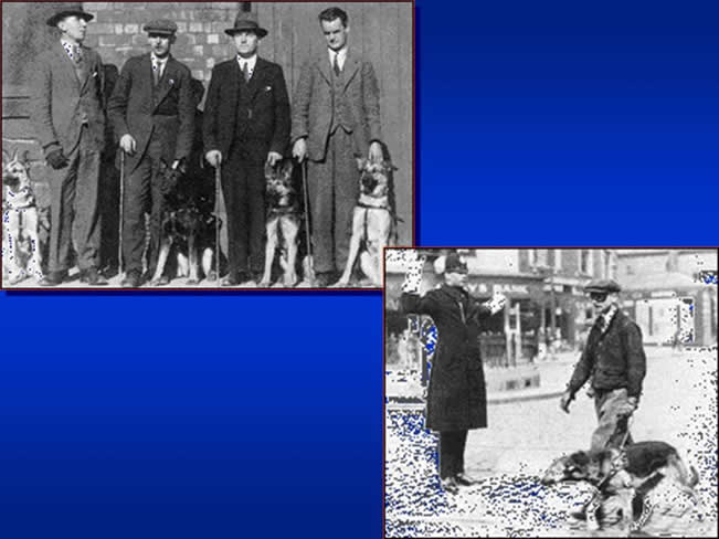Interaccin Humano-Animal