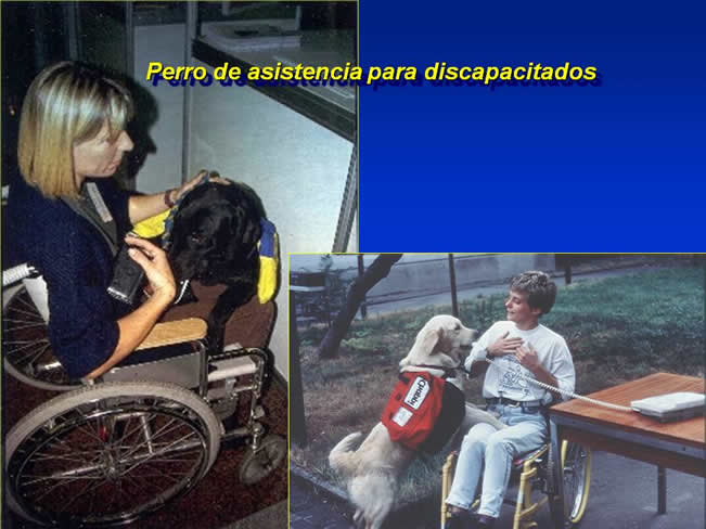 Interaccin Humano-Animal