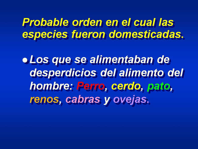 Interaccin Humano-Animal