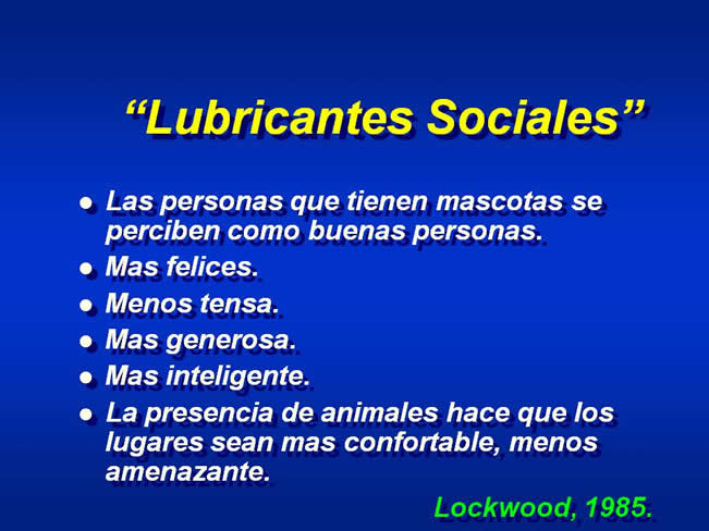 Interaccin Humano-Animal