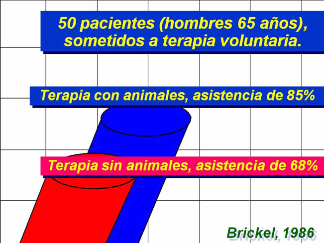 Interaccin Humano-Animal