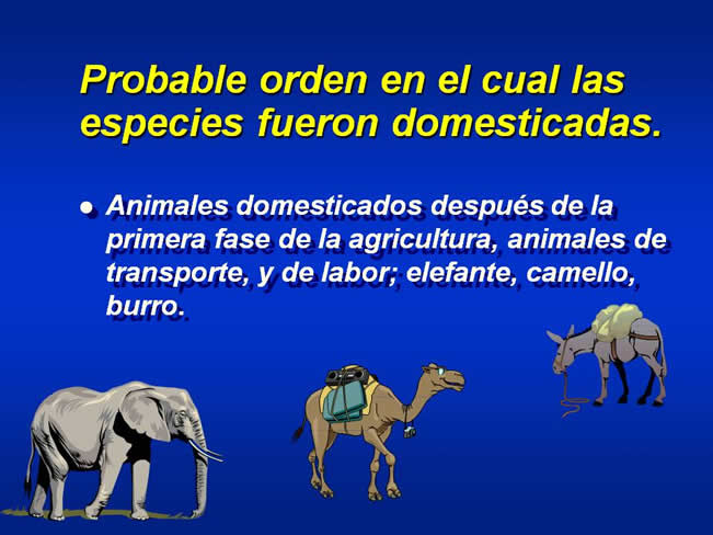 Interaccin Humano-Animal