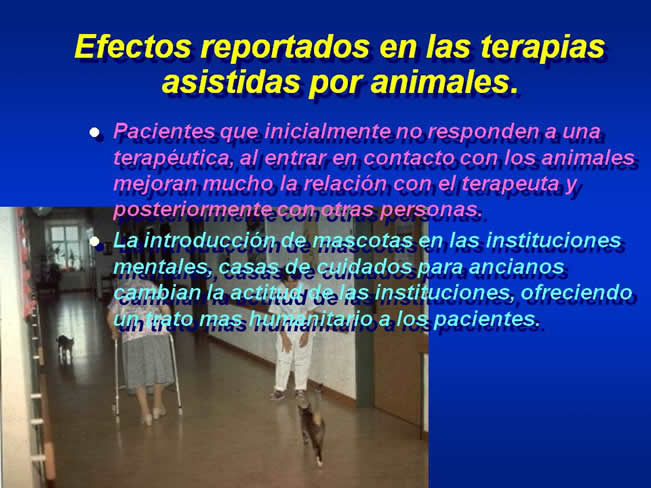 Interaccin Humano-Animal