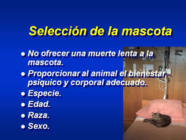 Interaccin Humano-Animal