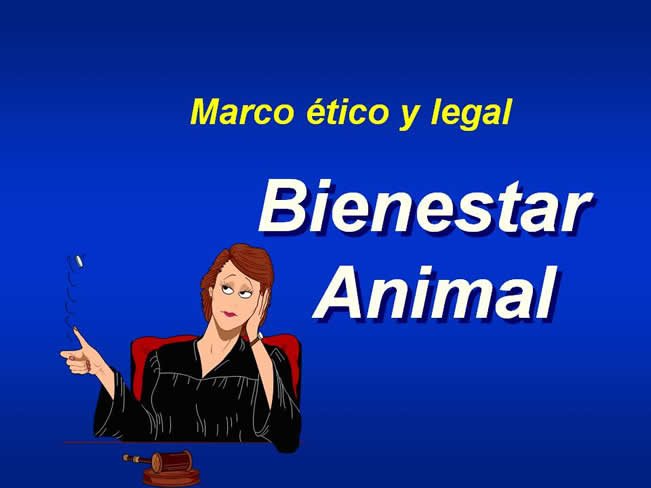 Interaccin Humano-Animal