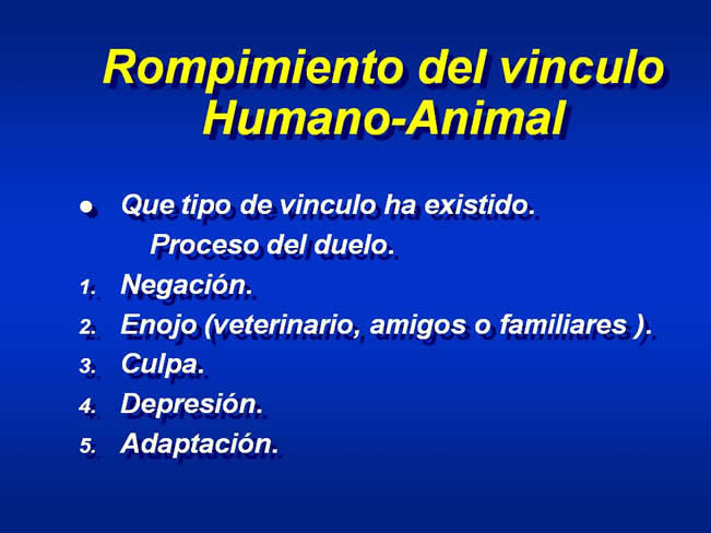 Interaccin Humano-Animal