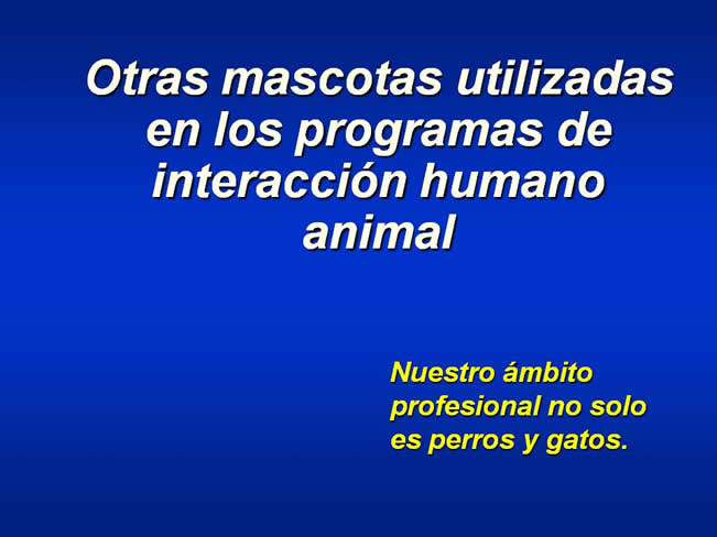 Interaccin Humano-Animal