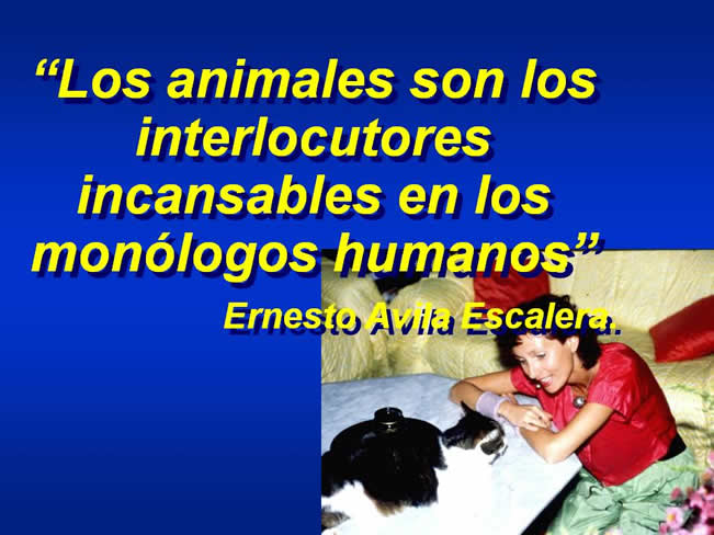 Interaccin Humano-Animal