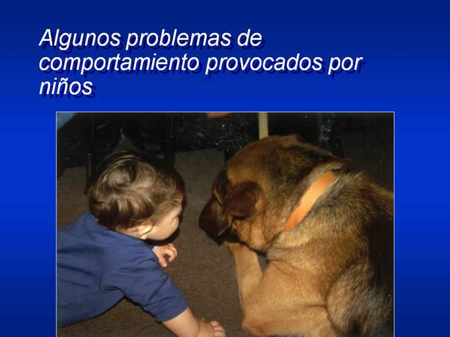 Interaccin Humano-Animal