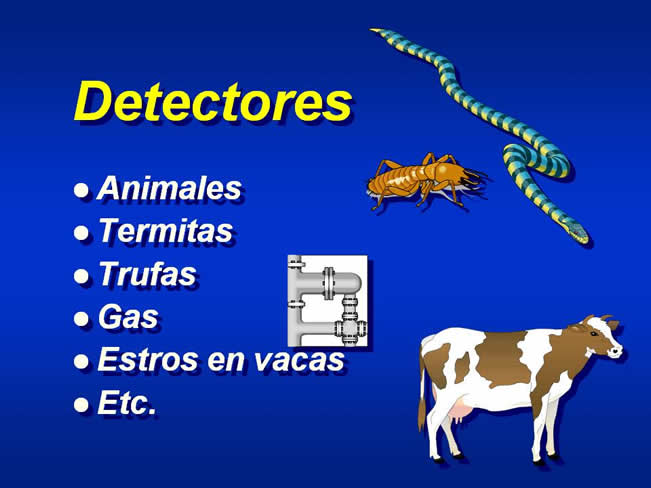 Interaccin Humano-Animal