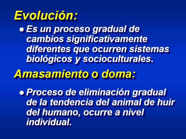 Interaccin Humano-Animal