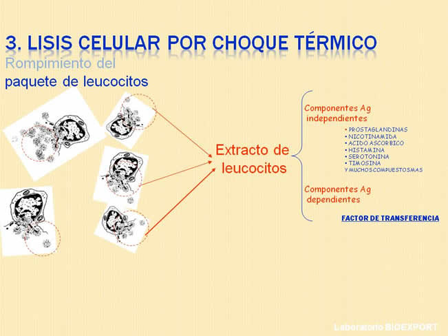 Qu es el factor de Transferencia?