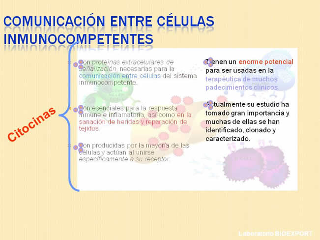 Qu es el factor de Transferencia?