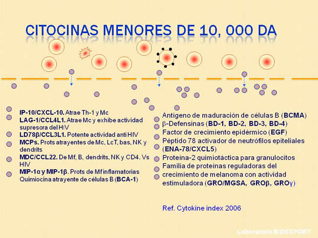 Qu es el factor de Transferencia?