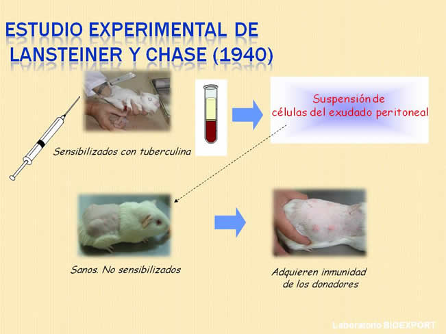 Qu es el factor de Transferencia?