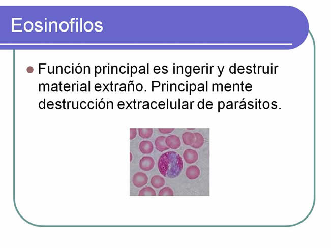 Sistema inmune