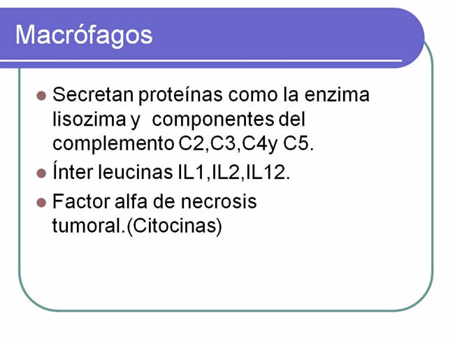 Sistema inmune