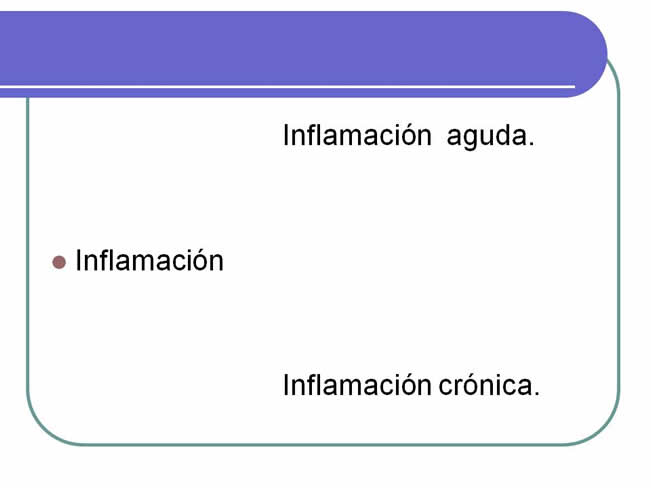 Sistema inmune