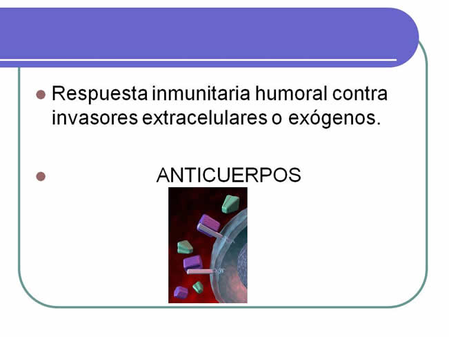 Sistema inmune