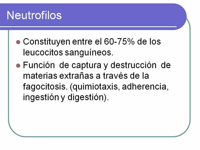 Sistema inmune