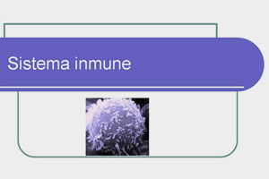 Sistema inmune