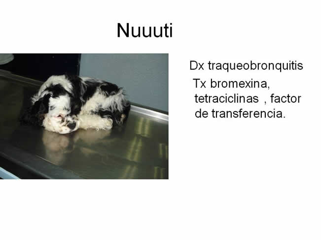 Factor de Transferencia Varios 