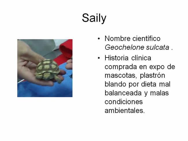 Factor de Transferencia Varios 