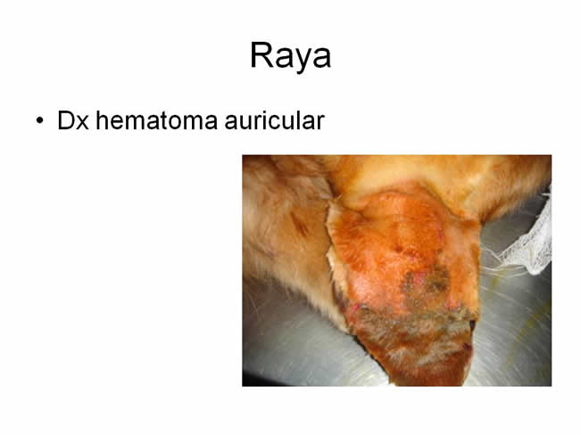 Factor de Transferencia Varios 